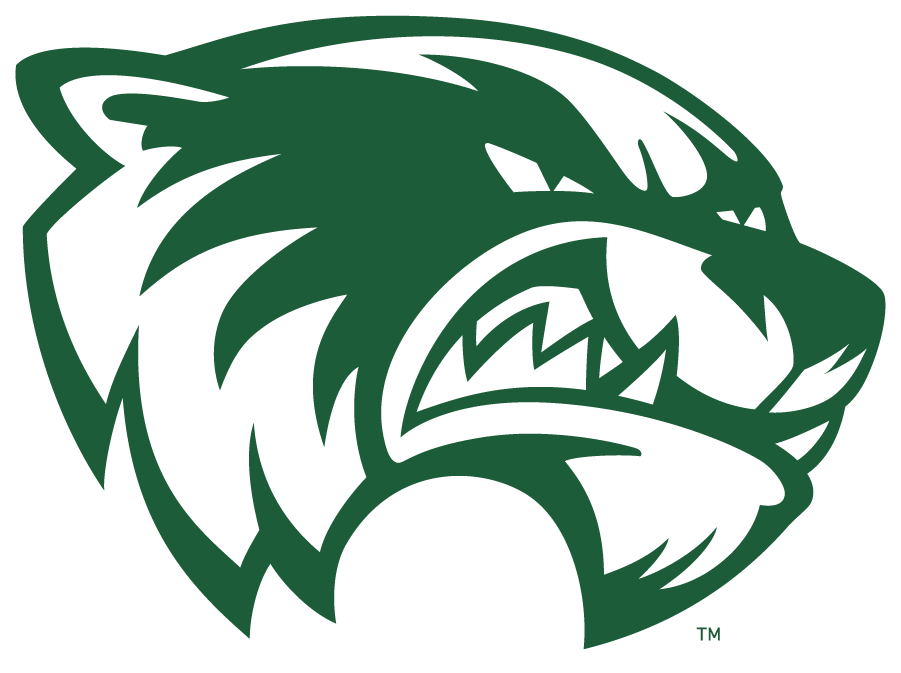Utah Valley Wolverines 2016-Pres Primary Logo diy iron on heat transfer
